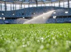 巴蒂稳夺,年终榜首,盛世娱乐棋牌,盛世娱乐官网,盛世娱乐官网入口,盛世娱乐网站,盛世娱乐官网娱乐,盛世娱乐,盛世娱乐登录入口