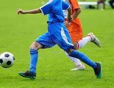 尼科,哈里森等高,层急推今夏,盛世娱乐官网,盛世娱乐官网入口,盛世娱乐网站,盛世娱乐官网娱乐,盛世娱乐,盛世娱乐登录入口