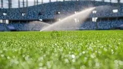 巴蒂稳夺WTA年终榜首