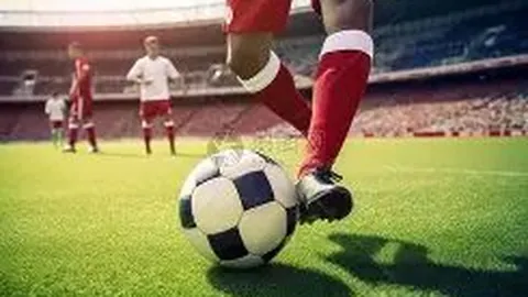 福州羽毛球公开赛明日开战